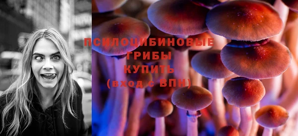2c-b Лагань