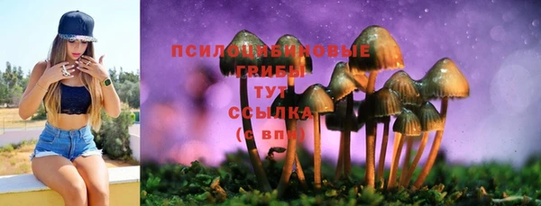 spice Ладушкин