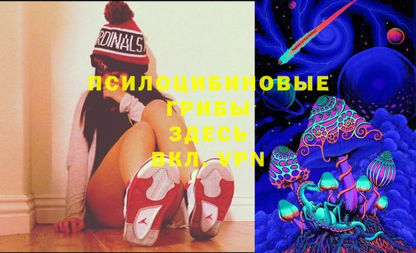 стаф Лабытнанги