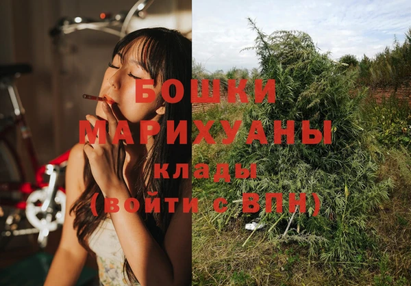 2c-b Лагань