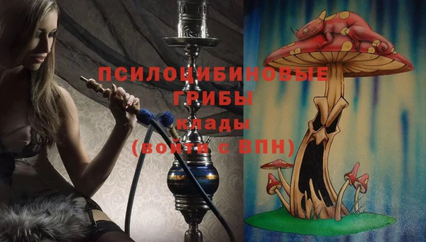 2c-b Лагань