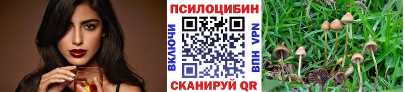 мориарти состав ссылка на мегу онион Димитровград Псилоцибиновые грибы ЛСД