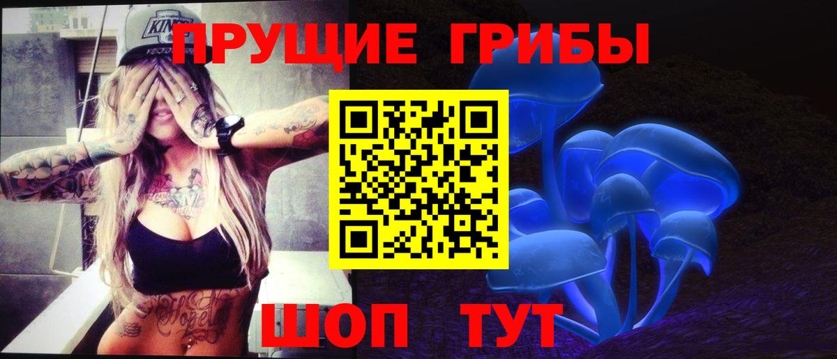Димитровград  Псилоцибиновые грибы мицелий  Вход с VPN  Псилоцибиновые грибы MAGIC MUSHROOMS 